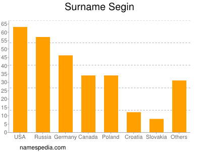 Surname Segin