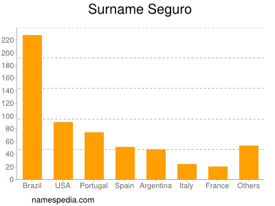 Familiennamen Seguro