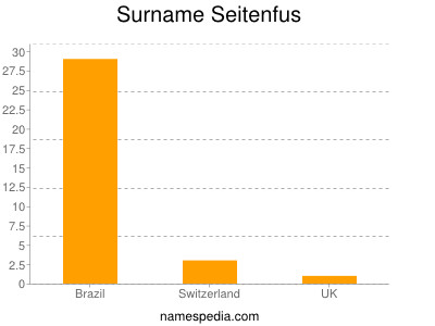 nom Seitenfus