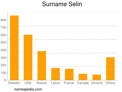 Familiennamen Selin