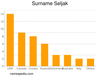 Familiennamen Seljak