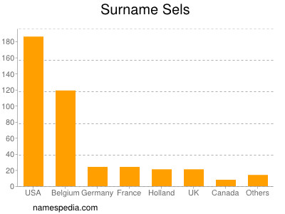 Surname Sels