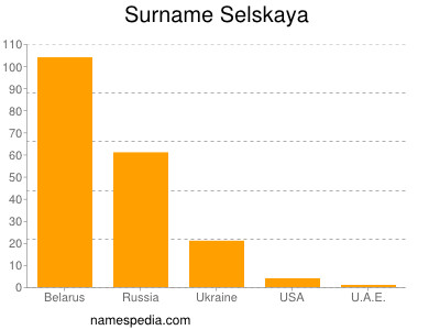 Familiennamen Selskaya