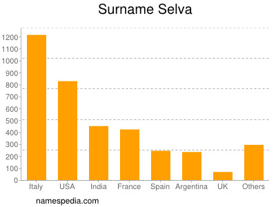 Familiennamen Selva