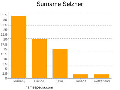 Familiennamen Selzner