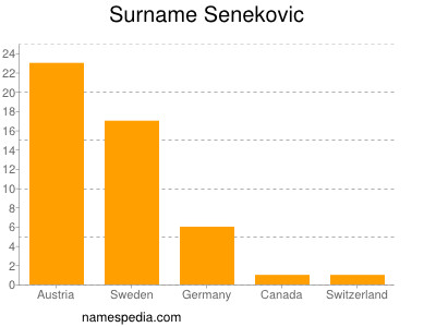 Familiennamen Senekovic