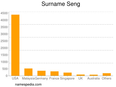 Familiennamen Seng
