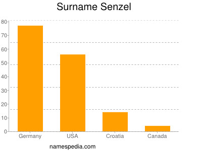 Familiennamen Senzel