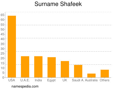 Familiennamen Shafeek