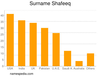 Familiennamen Shafeeq