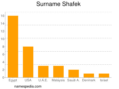 Familiennamen Shafek