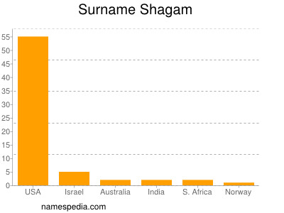 Familiennamen Shagam