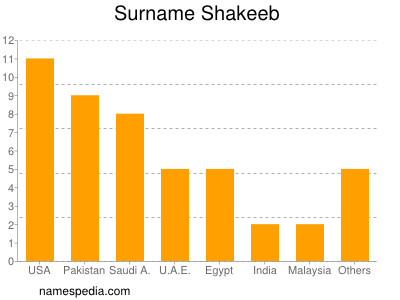 Familiennamen Shakeeb