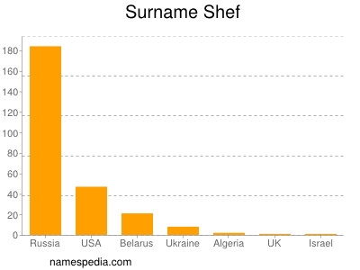 Surname Shef