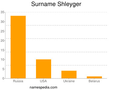 Familiennamen Shleyger