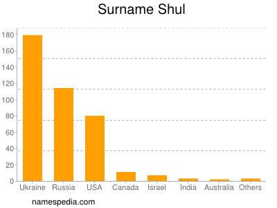 Familiennamen Shul