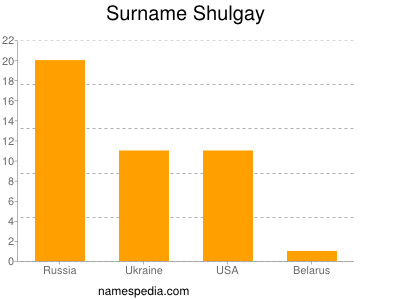 Familiennamen Shulgay