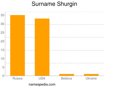 Familiennamen Shurgin