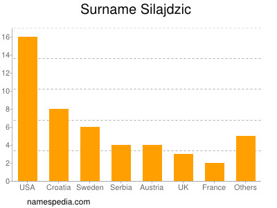 Familiennamen Silajdzic