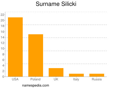 Familiennamen Silicki