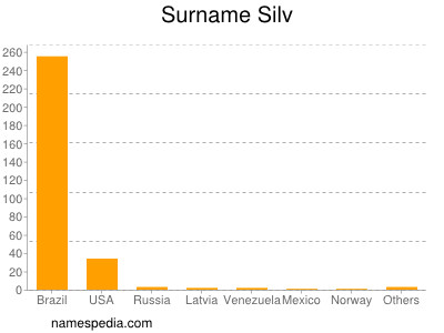 Familiennamen Silv