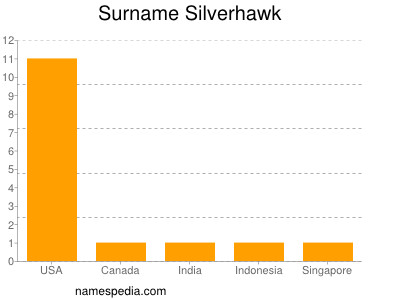 Familiennamen Silverhawk