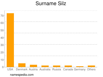 Familiennamen Silz