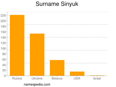 Familiennamen Sinyuk