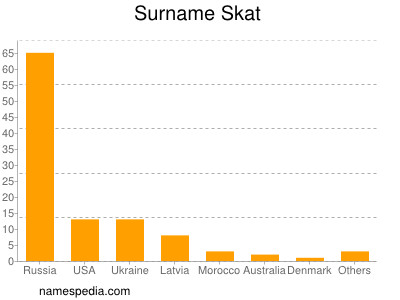 Familiennamen Skat