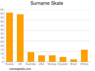 Familiennamen Skate