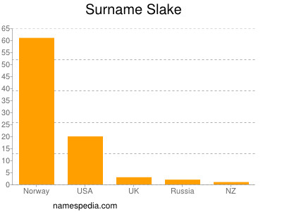 Surname Slake