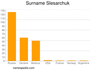 Familiennamen Slesarchuk