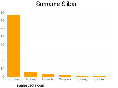 Familiennamen Slibar