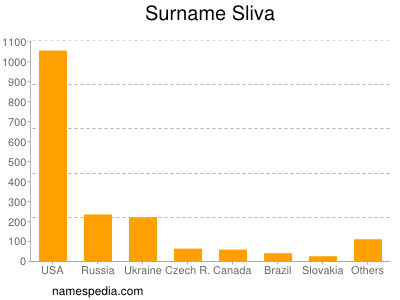 Familiennamen Sliva