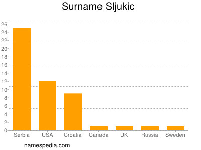 Familiennamen Sljukic