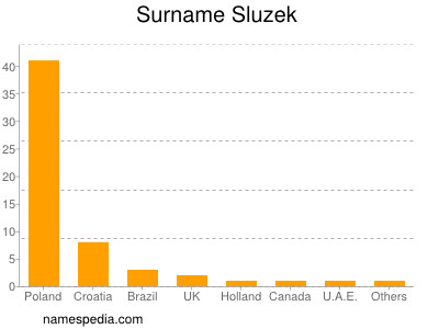 Familiennamen Sluzek