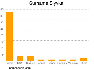 Familiennamen Slyvka