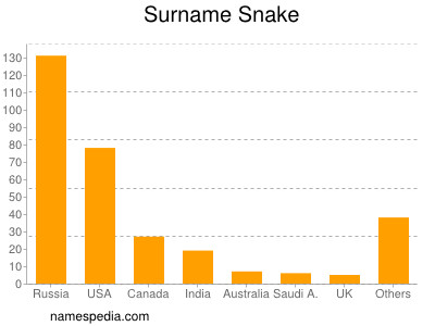 Familiennamen Snake