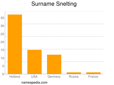 Familiennamen Snelting