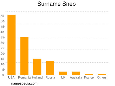 Surname Snep