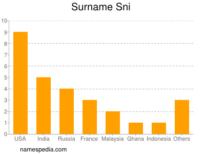 Familiennamen Sni