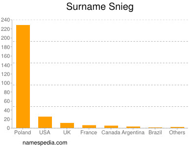 Familiennamen Snieg