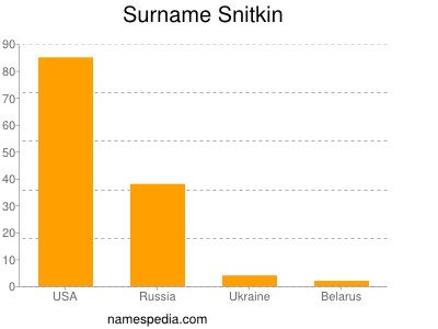 Familiennamen Snitkin