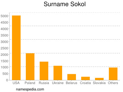 Familiennamen Sokol