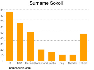 Familiennamen Sokoli