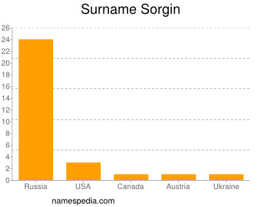 Surname Sorgin