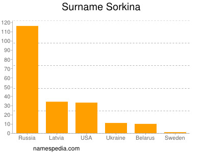 Familiennamen Sorkina