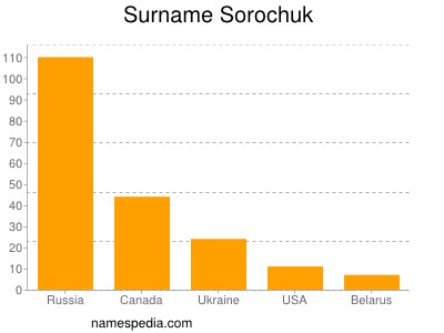 Familiennamen Sorochuk