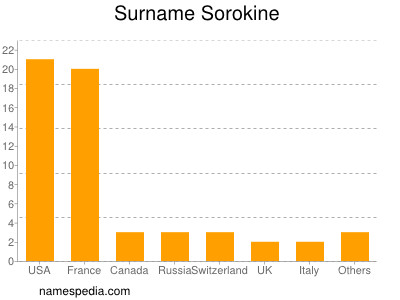 Familiennamen Sorokine