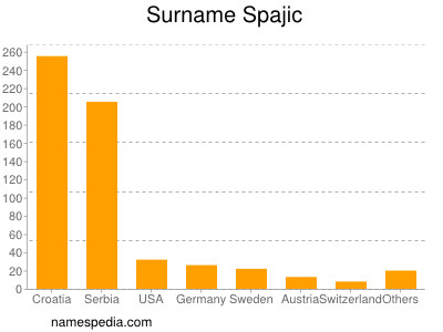 Surname Spajic